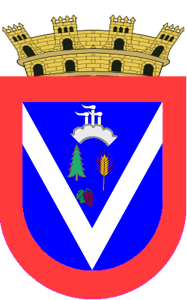 escudo laja