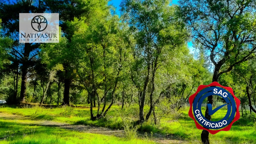 foto inmobiliaria-2