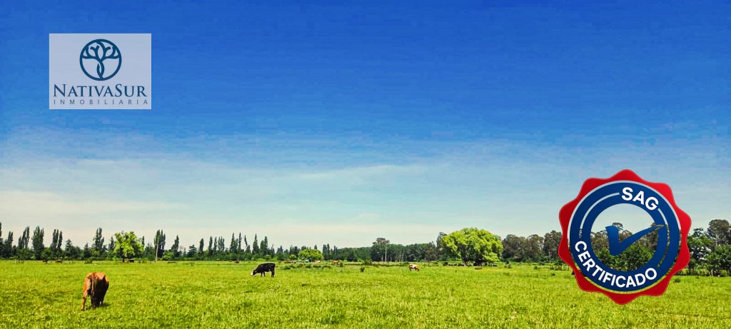 foto inmobiliaria-3