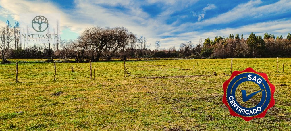 foto inmobiliaria-62