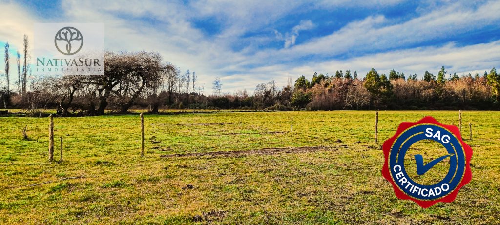 foto inmobiliaria-63